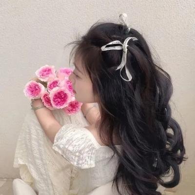 信长之枪 海报